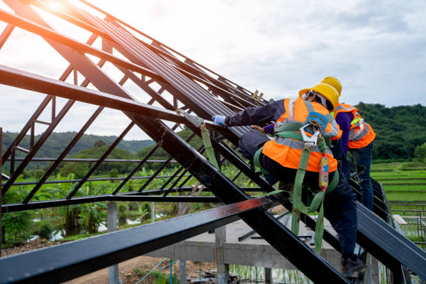Best Flat Roof Repair Services  in Wayland, IA