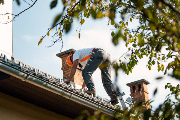 Best Roof Repair Services  in Wayland, IA
