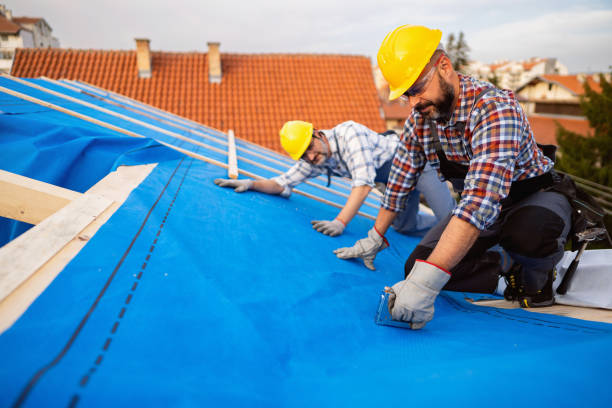 Best Local Roofing Companies  in Wayland, IA