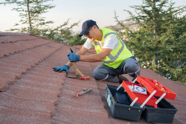 Best Roof Maintenance Services  in Wayland, IA