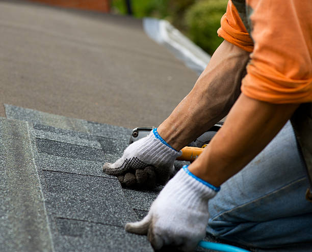 Professional Roofing Contractor in Wayland, IA