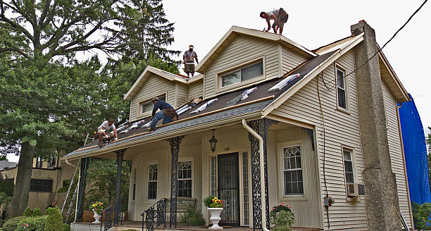 Best Affordable Roof Replacement  in Wayland, IA