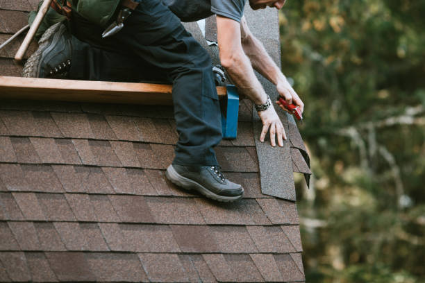 Best Storm Damage Roof Repair  in Wayland, IA