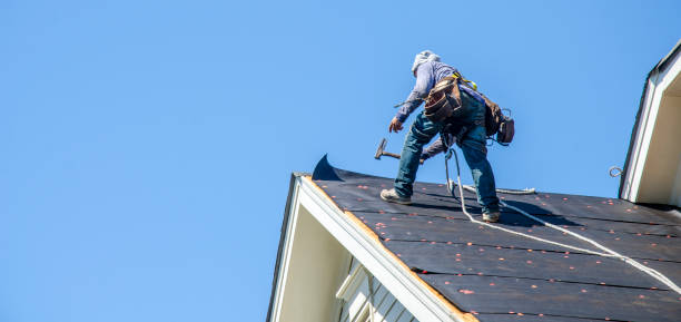 Best Roof Leak Repair  in Wayland, IA