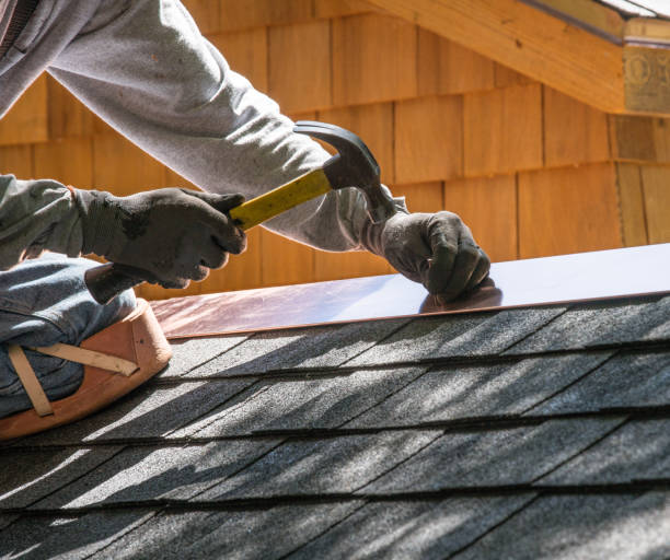 Best Residential Roofing Contractor  in Wayland, IA